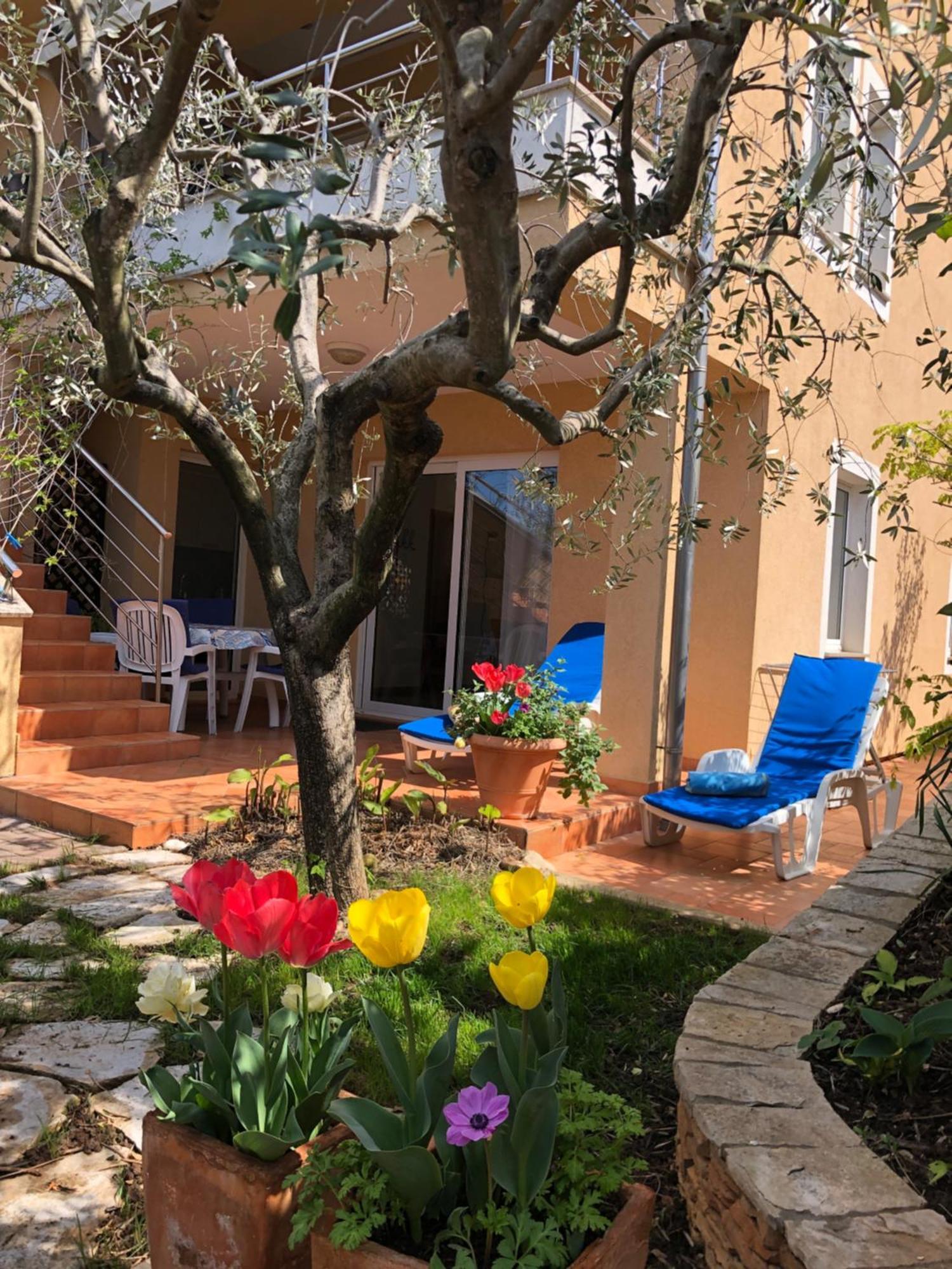 Villa Alexandra 4 Pjescana Uvala Esterno foto