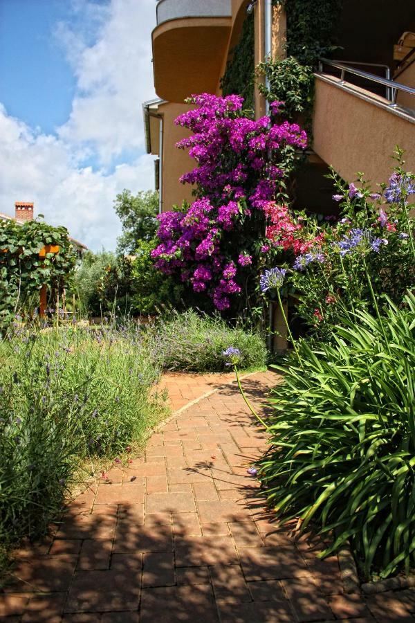 Villa Alexandra 4 Pjescana Uvala Esterno foto
